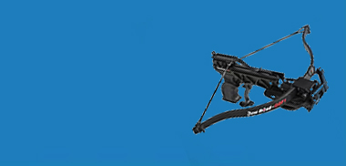  Composite Bow